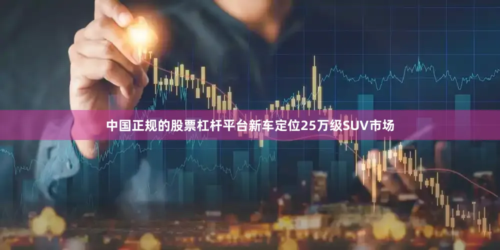 中国正规的股票杠杆平台新车定位25万级SUV市场