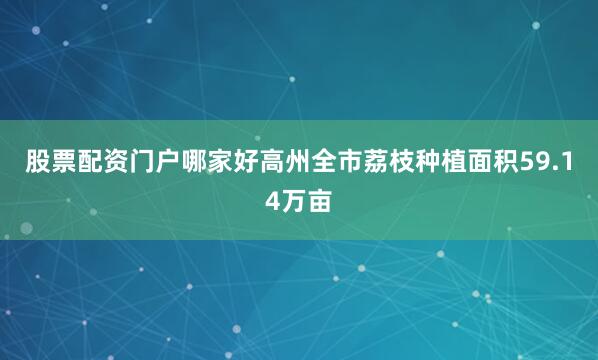 股票配资门户哪家好高州全市荔枝种植面积59.14万亩