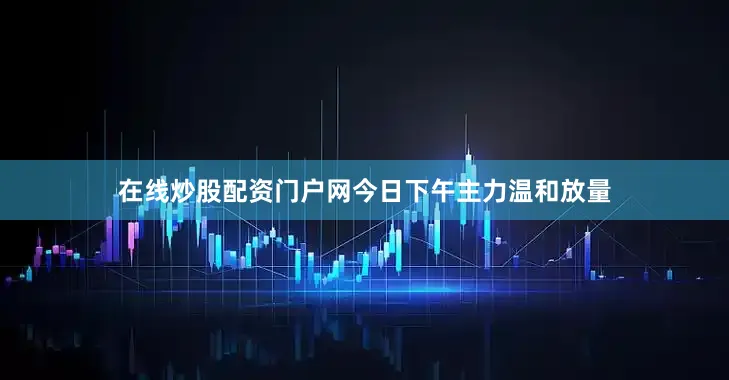在线炒股配资门户网今日下午主力温和放量