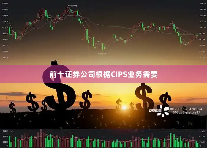 前十证券公司根据CIPS业务需要